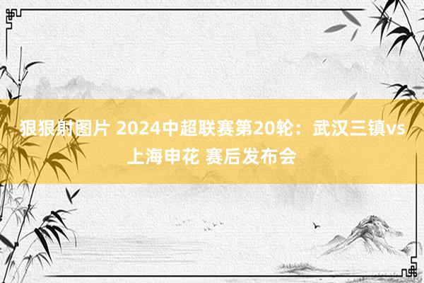 狠狠射图片 2024中超联赛第20轮：武汉三镇vs上海申花 赛后发布会