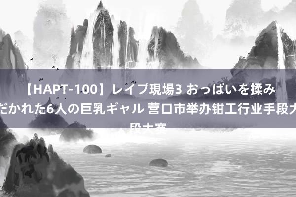 【HAPT-100】レイプ現場3 おっぱいを揉みしだかれた6人の巨乳ギャル 营口市举办钳工行业手段大赛