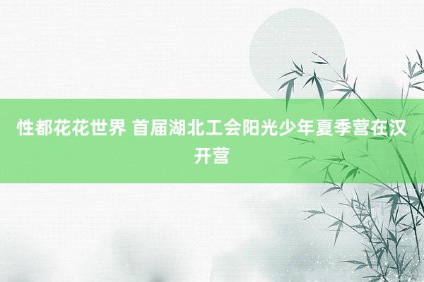 性都花花世界 首届湖北工会阳光少年夏季营在汉开营