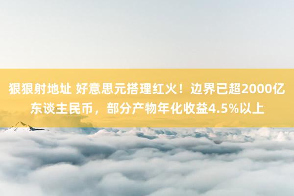 狠狠射地址 好意思元搭理红火！边界已超2000亿东谈主民币，部分产物年化收益4.5%以上