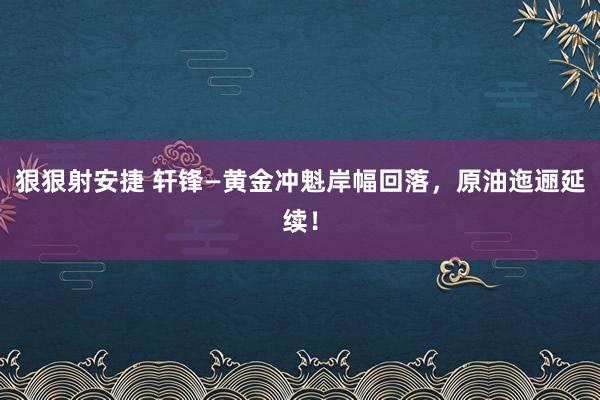 狠狠射安捷 轩锋—黄金冲魁岸幅回落，原油迤逦延续！