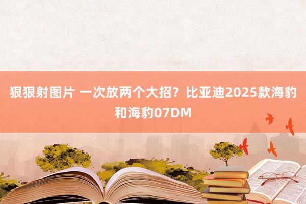 狠狠射图片 一次放两个大招？比亚迪2025款海豹和海豹07DM