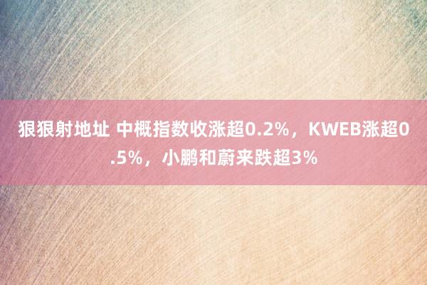 狠狠射地址 中概指数收涨超0.2%，KWEB涨超0.5%，小鹏和蔚来跌超3%