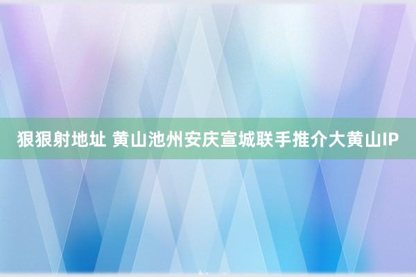 狠狠射地址 黄山池州安庆宣城联手推介大黄山IP