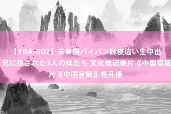 【YBA-002】未●熟パイパン妹夜這い生中出しレイプ 兄に犯された3人の妹たち 文化微记录片《中国官箴》将开播