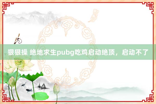 狠狠操 绝地求生pubg吃鸡启动绝顶，启动不了