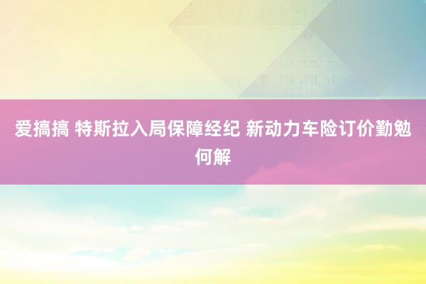 爱搞搞 特斯拉入局保障经纪 新动力车险订价勤勉何解