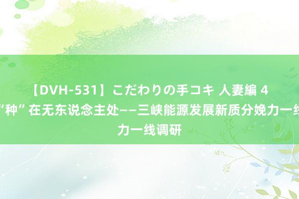 【DVH-531】こだわりの手コキ 人妻編 4 风车“种”在无东说念主处——三峡能源发展新质分娩力一线调研