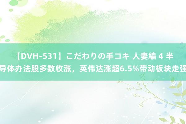 【DVH-531】こだわりの手コキ 人妻編 4 半导体办法股多数收涨，英伟达涨超6.5%带动板块走强