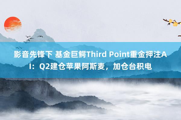 影音先锋下 基金巨鳄Third Point重金押注AI：Q2建仓苹果阿斯麦，加仓台积电