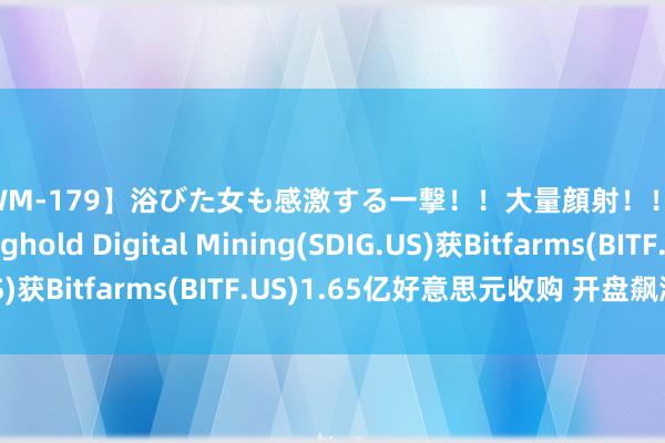 【CWM-179】浴びた女も感激する一撃！！大量顔射！！！ Part3 Stronghold Digital Mining(SDIG.US)获Bitfarms(BITF.US)1.65亿好意思元收购 开盘飙涨超70%