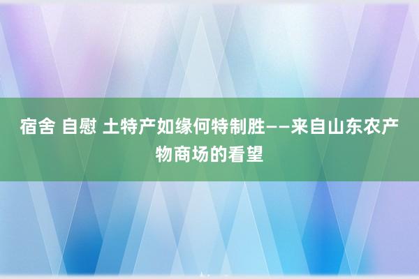 宿舍 自慰 土特产如缘何特制胜——来自山东农产物商场的看望