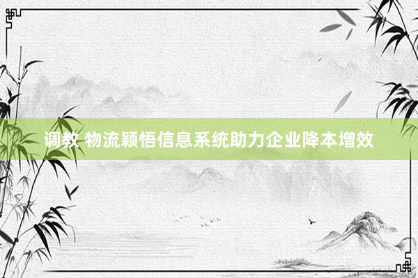 调教 物流颖悟信息系统助力企业降本增效