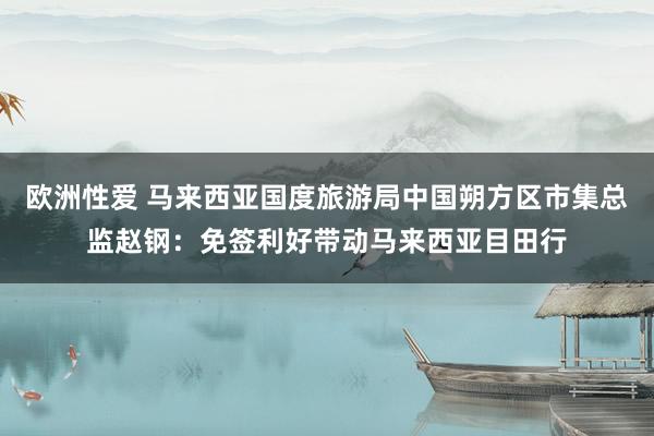 欧洲性爱 马来西亚国度旅游局中国朔方区市集总监赵钢：免签利好带动马来西亚目田行