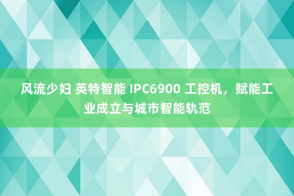 风流少妇 英特智能 IPC6900 工控机，赋能工业成立与城市智能轨范