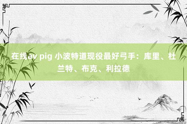 在线av pig 小波特道现役最好弓手：库里、杜兰特、布克、利拉德