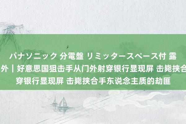 パナソニック 分電盤 リミッタースペース付 露出・半埋込両用形 国外｜好意思国狙击手从门外射穿银行显现屏 击毙挟合手东说念主质的劫匪